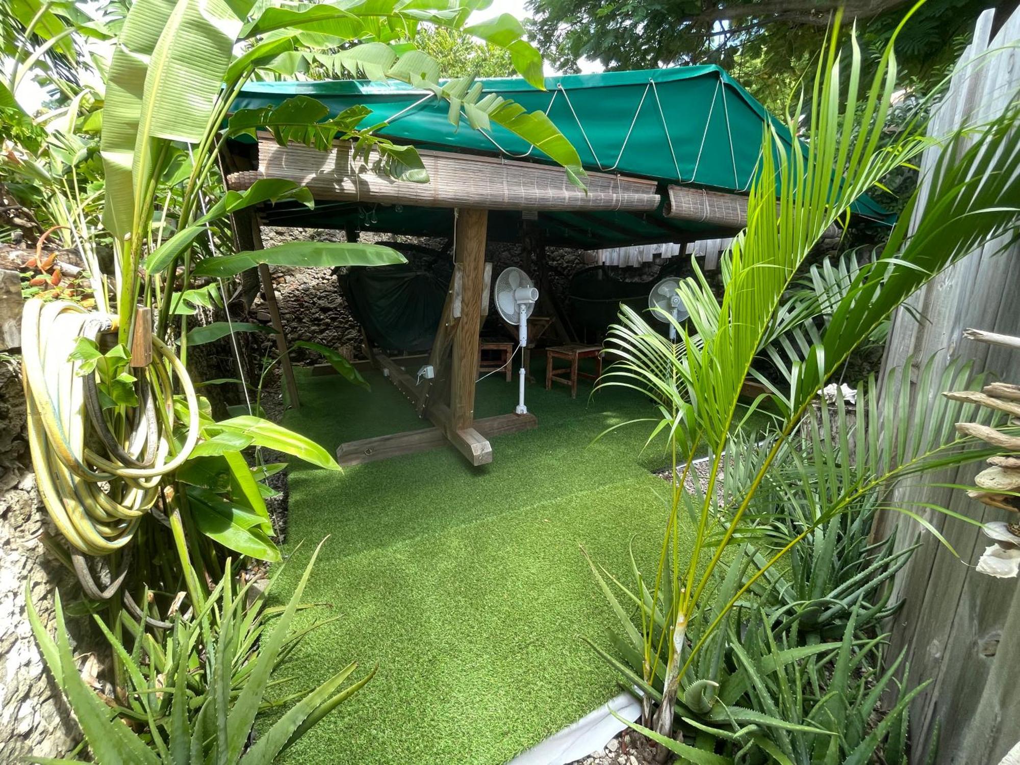 Les Hamacs Aux Saintes Hotel Terre-De-Haut Buitenkant foto